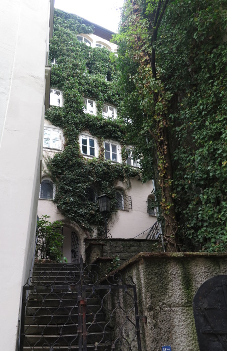 steingasse31